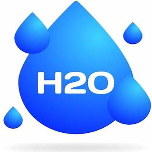 h20